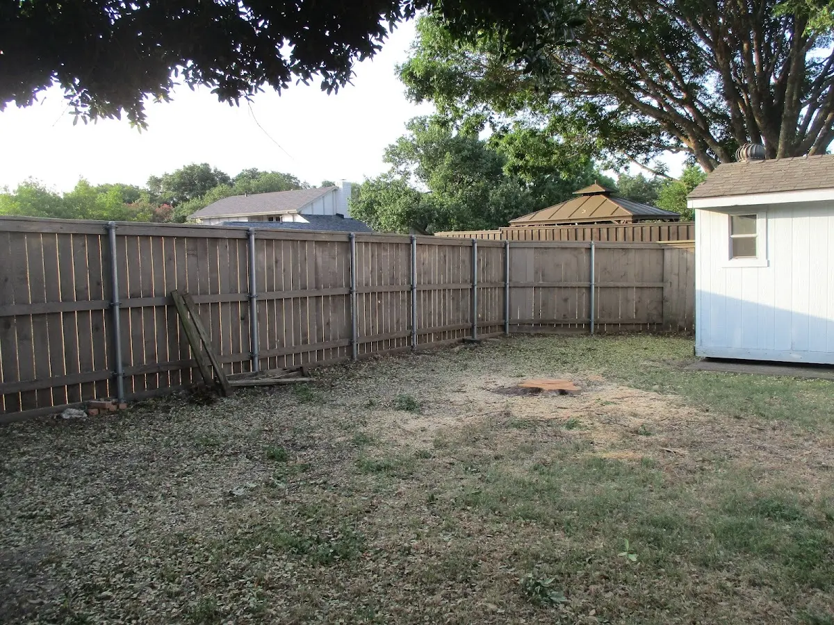 Cleared yard after professional tree removal in Fairbanks